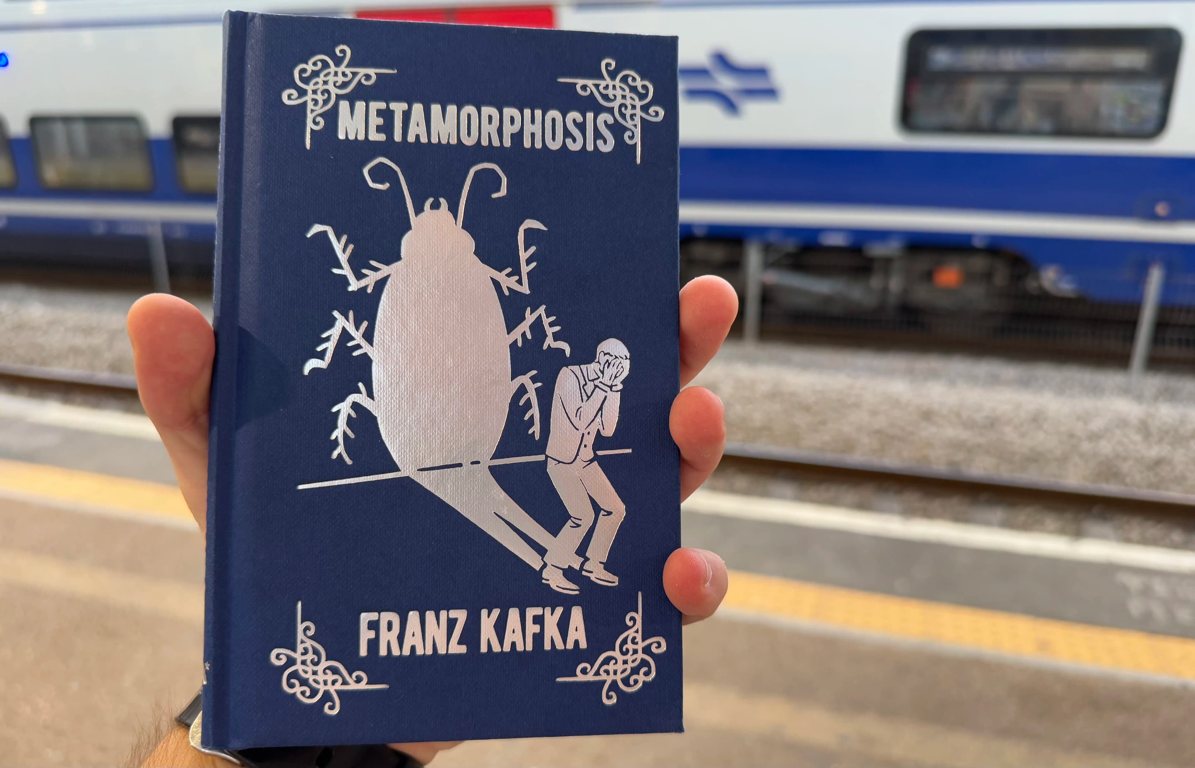 Thoughts on Metamorphosis