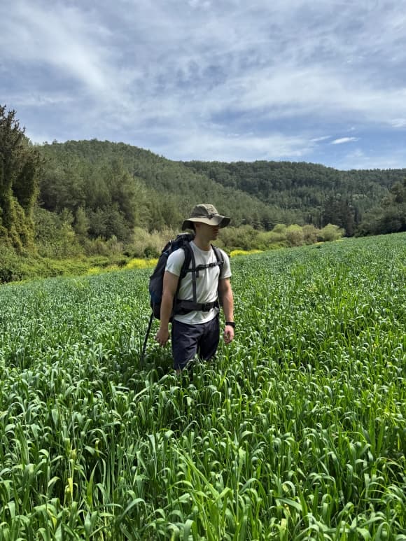 Out in Megido Forest